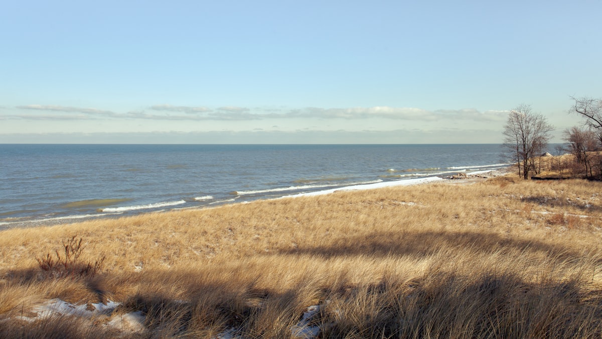 Indiana Dunes National Park terrain