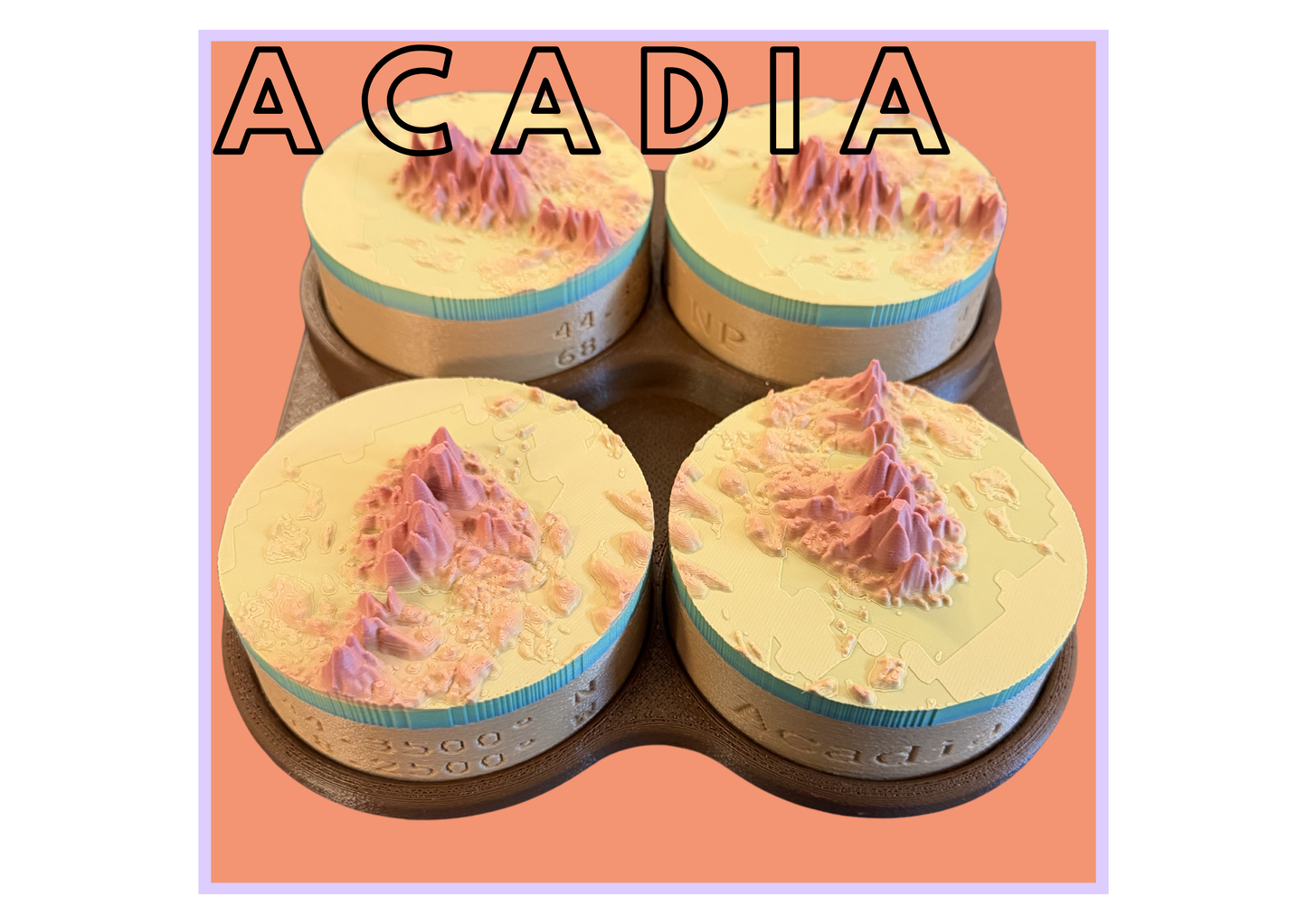 Acadia National Park 3D Topographic Map (4 Pack)