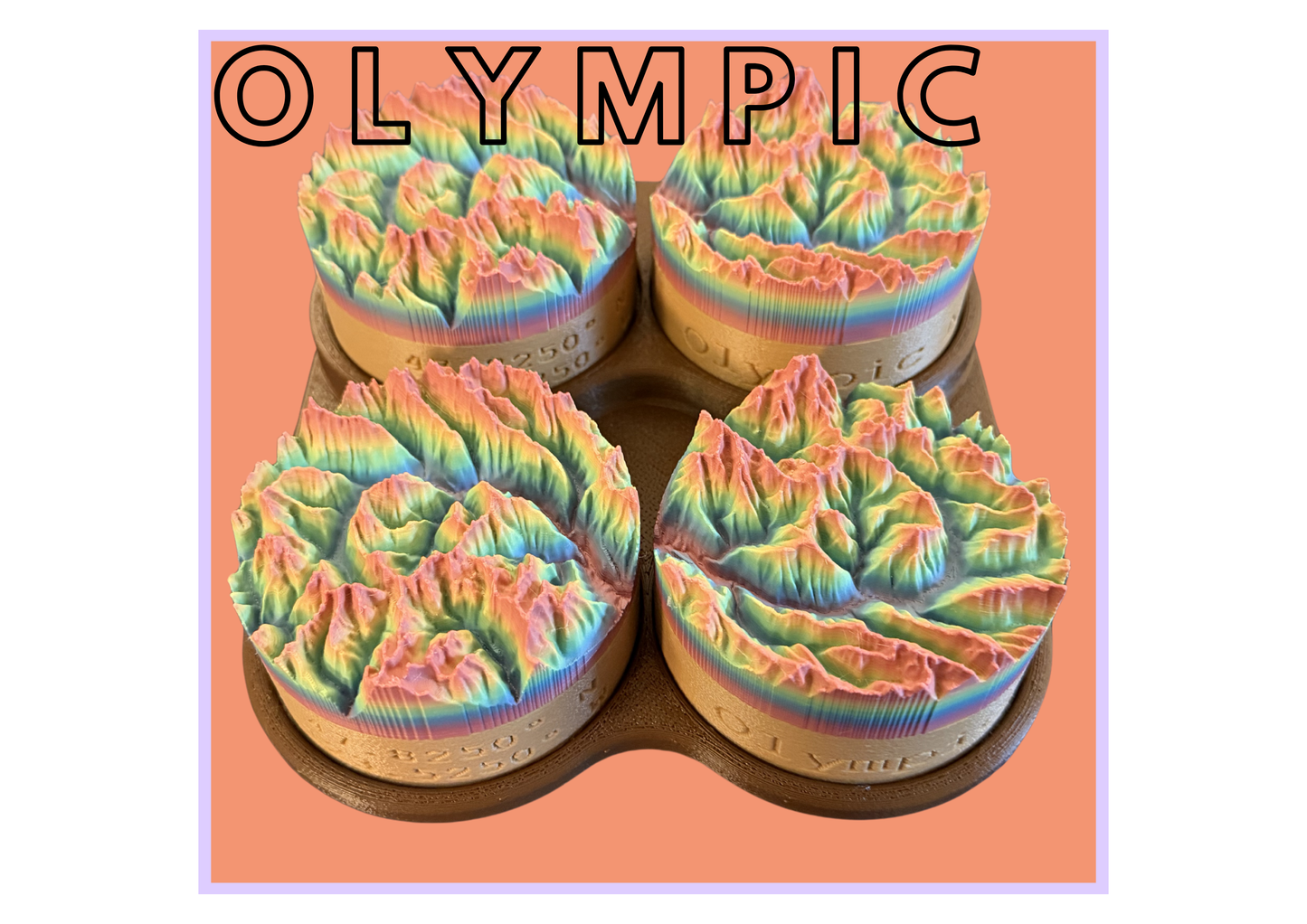 Olympic National Park 3D Topographic Map (4 Pack)
